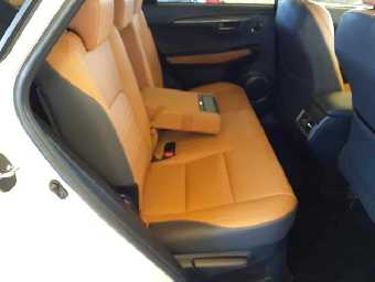 LEXUS NX 2020 Image 10