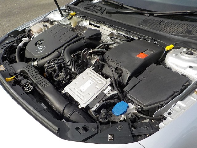 MERCEDES BENZ A CLASS 2019 Image 31