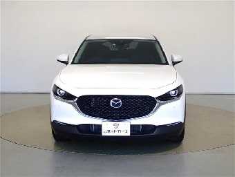 MAZDA CX-30 2021 Image 3