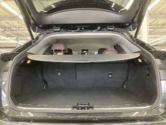 LEXUS RX 2019 Image 8