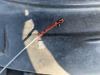 MERCEDES BENZ S CLASS 2010 Image 14