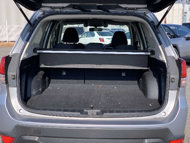 SUBARU FORESTER 2019 Image 20