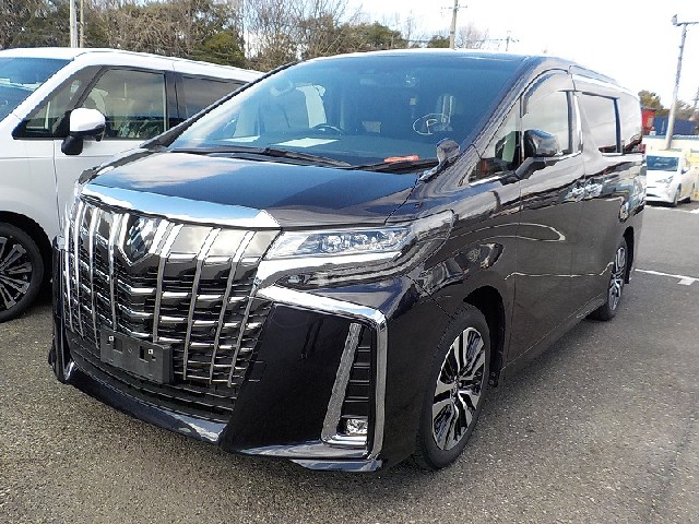 TOYOTA ALPHARD 2021 Image 27