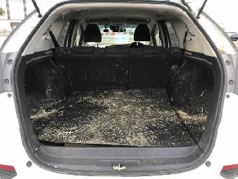 HONDA SHUTTLE 2019 Image 19