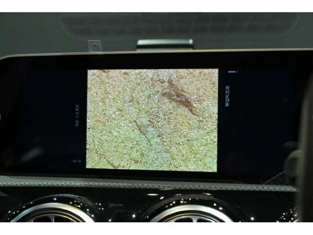 MERCEDES BENZ A CLASS 2020 Image 20