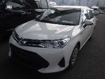 TOYOTA COROLLA AXIO 2019 Image 1