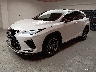 LEXUS RX 2021 Image 1