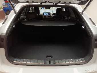 LEXUS RX 2021 Image 24