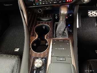 LEXUS RX 2021 Image 35