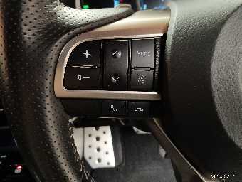 LEXUS RX 2021 Image 39