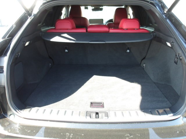 LEXUS RX 2020 Image 22