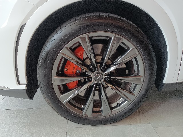 LEXUS RX 2023 Image 19