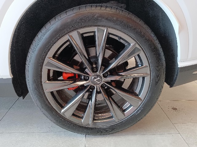 LEXUS RX 2023 Image 20