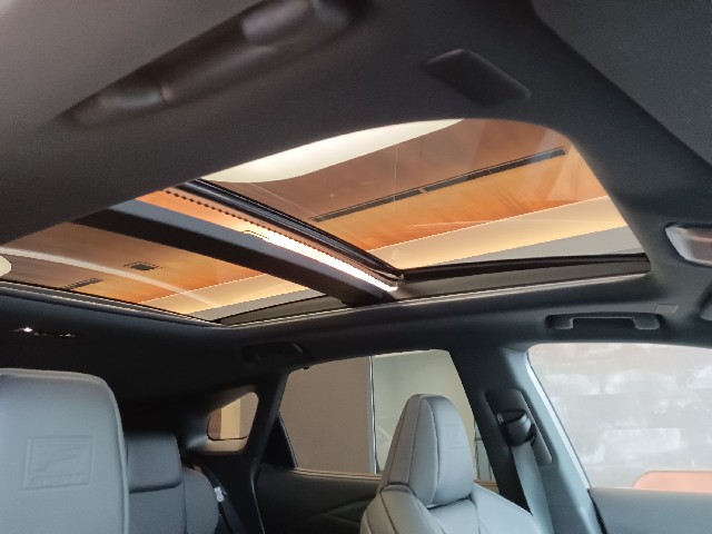 LEXUS RX 2023 Image 55