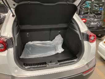 MAZDA MX-30 2021 Image 8