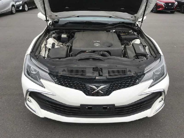 TOYOTA MARK X 2019 Image 25