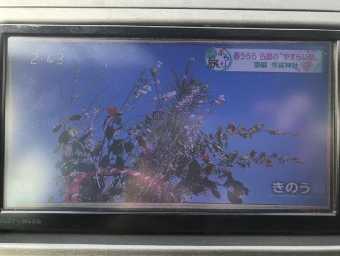 TOYOTA PRIUS PHV 2013 Image 17