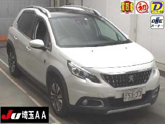 PEUGEOT 2008 2020 Image 1