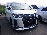 TOYOTA ALPHARD 2023 Image 20