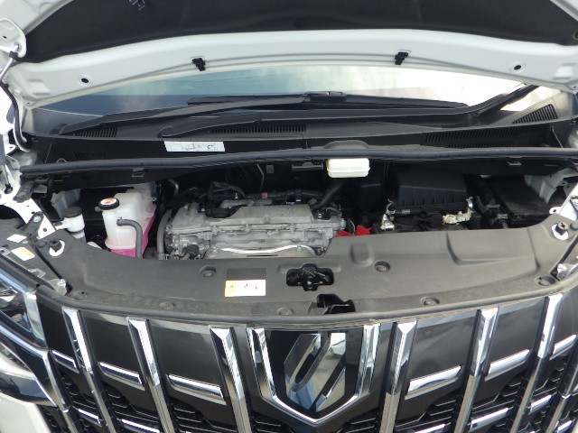 TOYOTA ALPHARD 2023 Image 25