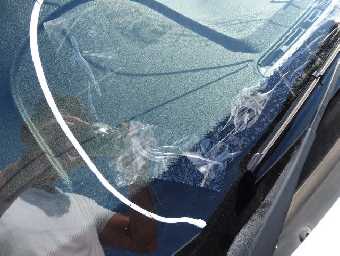 BMW 3 SERIES 2016 Image 19