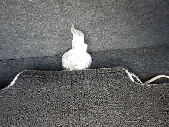 TOYOTA COROLLA AXIO 2018 Image 6