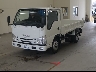 ISUZU ELF DUMP TRUCK 2020 Image 1