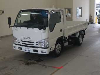 ISUZU ELF DUMP TRUCK 2020 Image 1