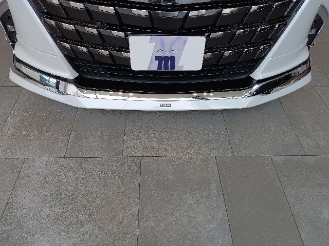 TOYOTA ALPHARD 2023 Image 44