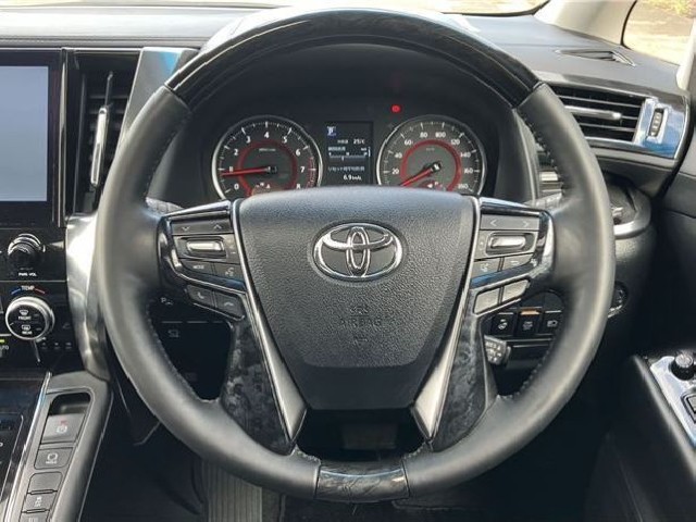 TOYOTA ALPHARD 2020 Image 31