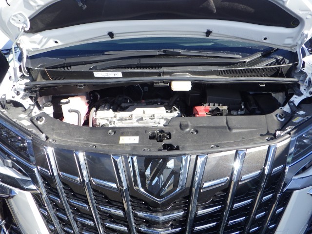 TOYOTA ALPHARD 2022 Image 67