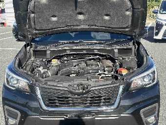 SUBARU FORESTER 2020 Image 9