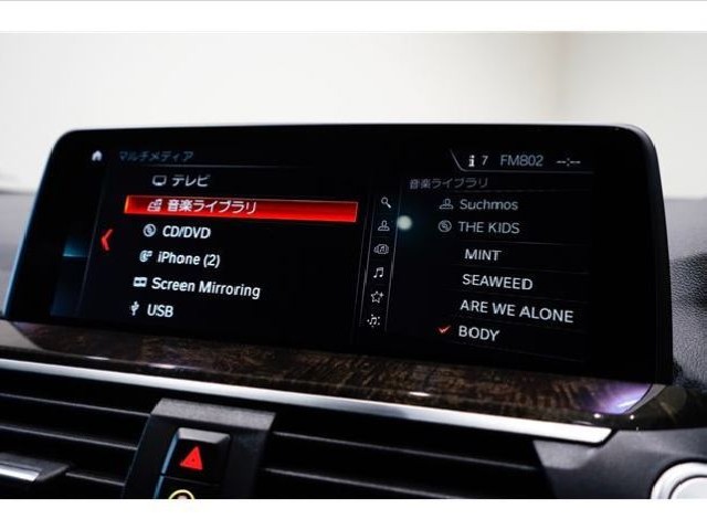 BMW X4 2019 Image 25