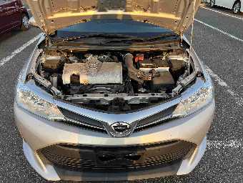 TOYOTA COROLLA AXIO 2019 Image 9