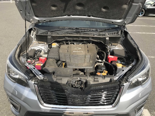 SUBARU FORESTER 2019 Image 21