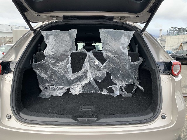 MAZDA CX-8 2021 Image 25