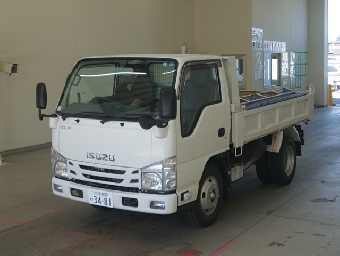 ISUZU ELF DUMP TRUCK 2020 Image 1