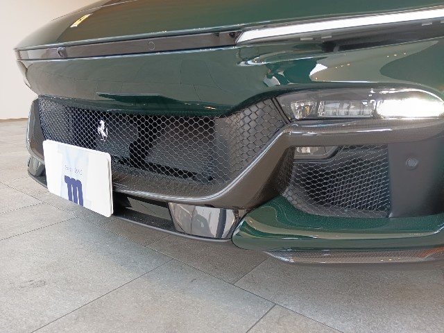 FERRARI PUROSANGUE 2024 Image 24