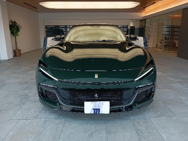 FERRARI PUROSANGUE 2024 Image 25