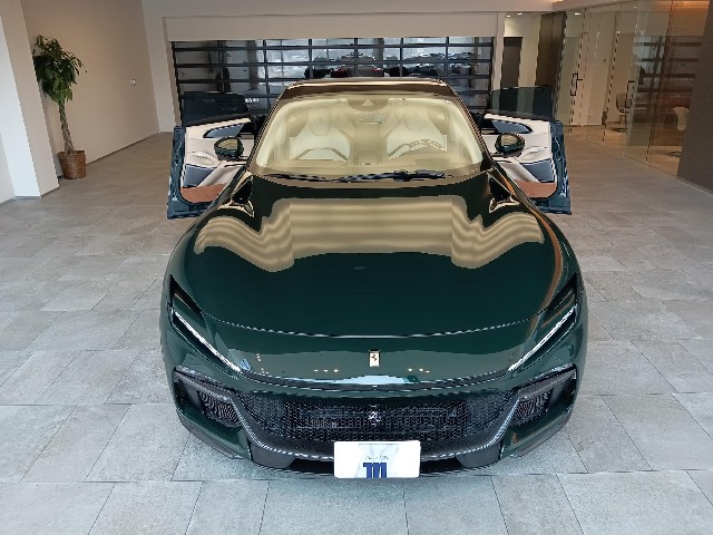 FERRARI PUROSANGUE 2024 Image 26