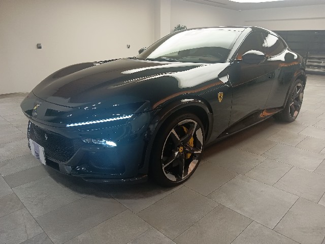 FERRARI PUROSANGUE 2024 Image 28