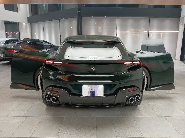 FERRARI PUROSANGUE 2024 Image 32