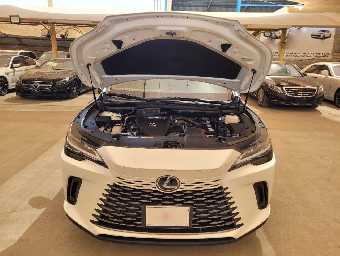 LEXUS RX 350 2024 Image 10