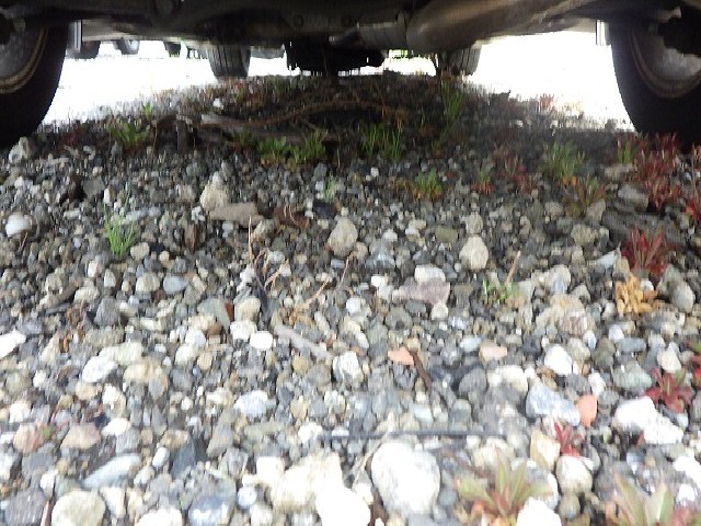 TOYOTA CHASER 1999 Image 28