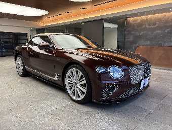 BENTLEY CONTINENTAL 2022 Image 11