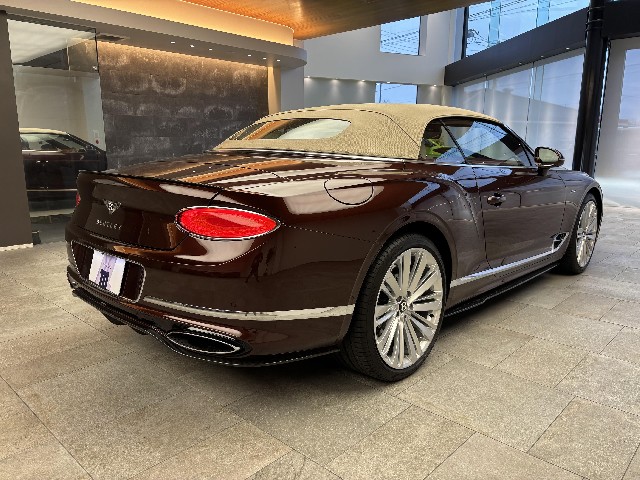 BENTLEY CONTINENTAL 2022 Image 19