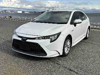 TOYOTA COROLLA 2019 Image 1