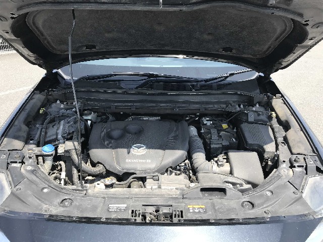 MAZDA CX-8 2021 Image 22