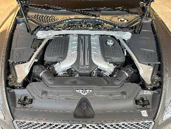 BENTLEY CONTINENTAL 2020 Image 51