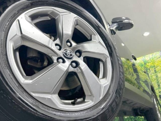 TOYOTA RAV-4 2021 Image 19